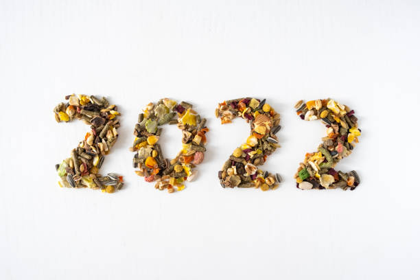 istock 2022 Rodent food 1342497625