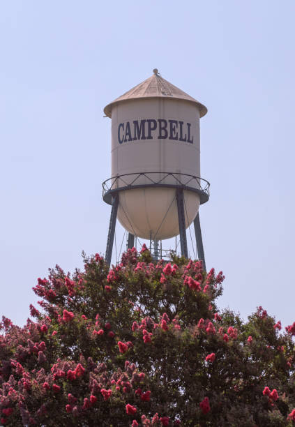 istock Campbell Water Tower with Crepe Myrtle Tree in Bloom 1342500440
