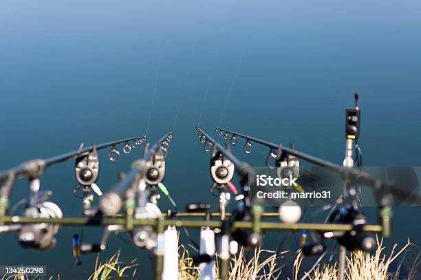 Carpa Barras - Fotografias de stock e mais imagens de Captura de Peixe - Captura de Peixe, Anzol de Pesca, Ao Ar Livre
