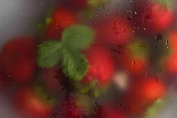 perfect berry background
