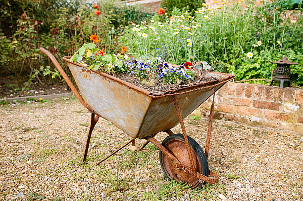 istock decorative garden wheelbarrow with flowers 134250844