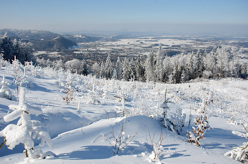 Winter wonderland on the Grünberg, Salzkammergut, Upper Austria, Austria, Europe