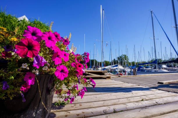 istock Sailboat in the harbour 1342510145