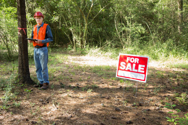 istock Construction manager marking trees for be cut.  He carries a digital tablet and wears a safety vest and hard hat.  For sale sign is on the premises.  Selective focus on the For Sale Sign. 1342510911