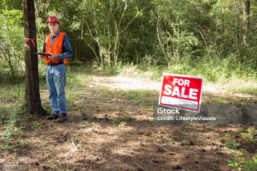 Construction manager marking trees for be cut.  He carries a digital tablet and wears a safety vest and hard hat.  For sale sign is on the premises.  Selective focus on the For Sale Sign. Construction manager marking trees for be cut.  He carries a digital tablet and wears a safety vest and hard hat.  For sale sign is on the premises.  Selective Focus on the For Sale Sign. Adult Stock Photo