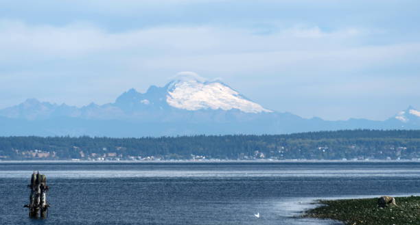 istock Looking at Rainer from Manchester Park  over Clam Bay waters 1342522749