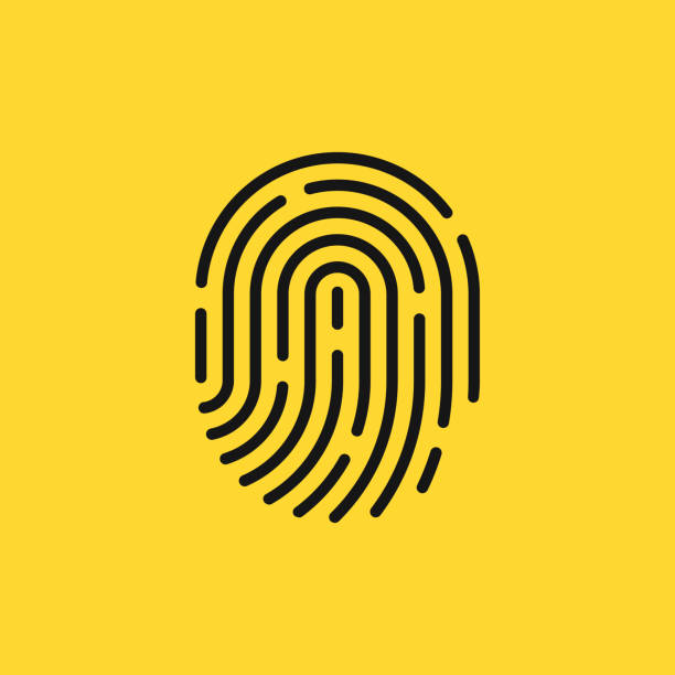 ilustrações de stock, clip art, desenhos animados e ícones de black thin line fingerprint simple icon - fingerprint thumbprint biometrics human thumb