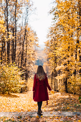 Rear view of elegant young woman in a burgundy casual coat in autumn. Cute model walks in the park in golden autumn through colorful trees and fallen leaves. Autumn walk, colorful nature