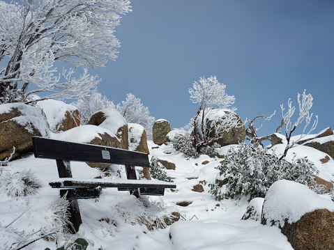 Winter wonderland in Mount Buffalo National Park covered in snow