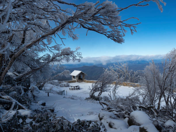 blick auf eine kleine hütte umgeben von schnee und bäumen - snow winter mountain horizon over land stock-fotos und bilder