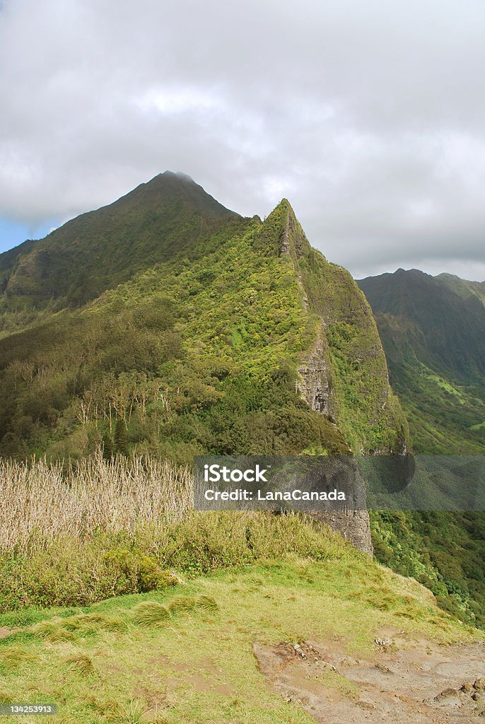 Nuuanu Palijski Lookout - Zbiór zdjęć royalty-free (Alpinizm)