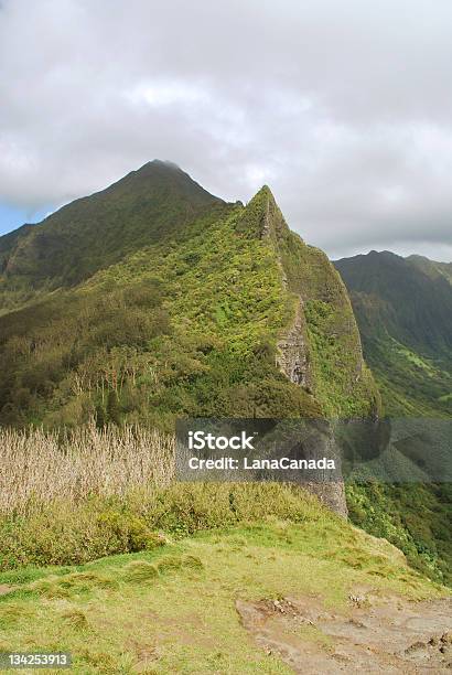 Nuuanu Palijski Lookout - zdjęcia stockowe i więcej obrazów Alpinizm - Alpinizm, Badanie, Bitwa