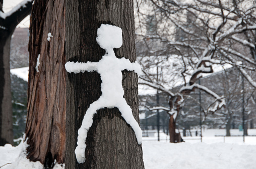 Snow Man Climbs the Tree - Central Park