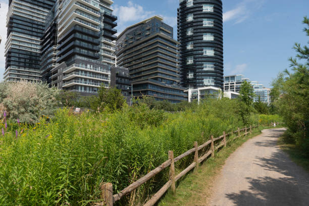 vue d’un point de repère sur des bâtiments modernes près du parc humber bay à etobicoke, ontario, canada - rivière humber photos et images de collection