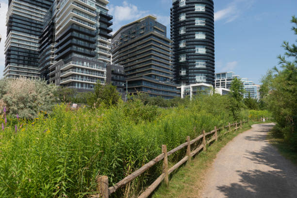 Landmark view at modern buildings near the Humber Bay Park in Etobicoke, Ontario, Canada Landmark view at modern buildings near the Humber Bay Park in Etobicoke, Ontario, Canada etobicoke stock pictures, royalty-free photos & images
