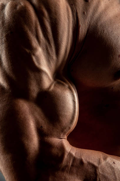 istock Detail od a bodybuilder bicep 1342563128
