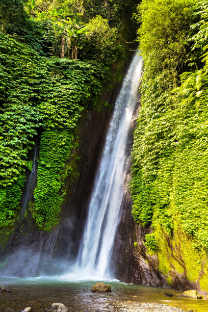 istock Munduk waterfall in Bali 1342572964