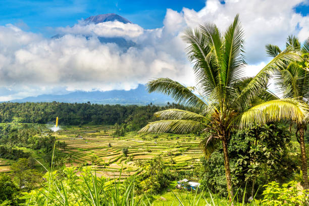 istock Rice field and volcano Agung, Bali 1342572999
