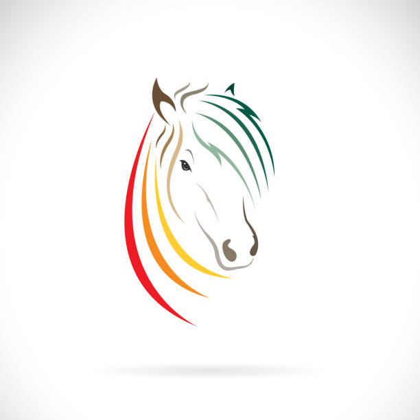 Vector of horse head  design on white background. Easy editable layered vector illustration. Wild Animals. Vector of horse head  design on white background. Easy editable layered vector illustration. Wild Animals. mare stock illustrations
