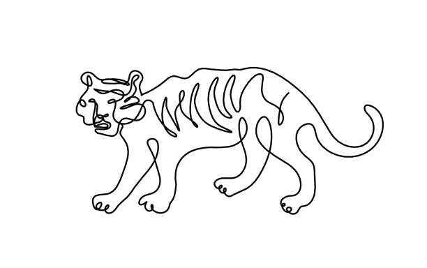 istock Silhouette of abstract tiger as line drawing on white 1342579542