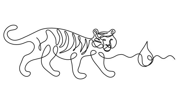 ilustrações de stock, clip art, desenhos animados e ícones de silhouette of abstract tiger with element of water (feng shui) as line drawing on white - detent