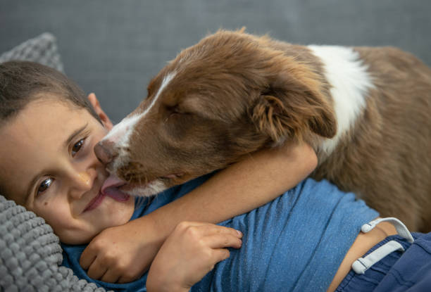 istock Boy Getting Kisses From His Dog 1342579905