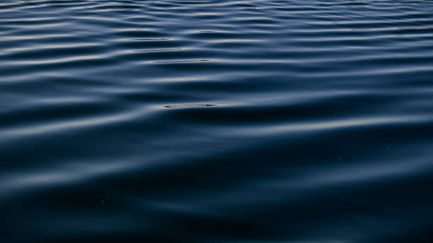 istock Calm blue ripple in water 1342583038