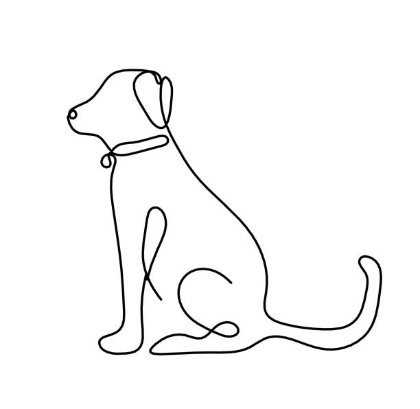 ilustrações de stock, clip art, desenhos animados e ícones de silhouette of abstract dog as line drawing on white - detent