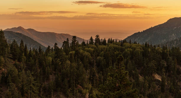 California San Bernardino National Forest Mountains Sunset Scenic California San Bernardino National Forest Mountains Sunset. Big Bear Lake Area. United States of America. national forest stock pictures, royalty-free photos & images
