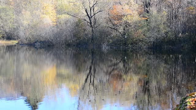 a beautiful autumn on the lake