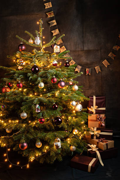istock Christmas tree with presents and books background 1342597149