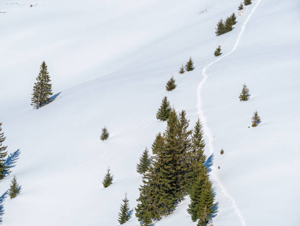 istock Winter landscape in the mountains with a footpath made through the fresh snow 1342598497