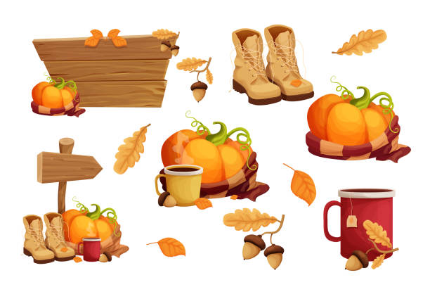 Set autumn stickers with pumpkin warm scarf, cup with hot beverage decorated with acorn and leaves, boots, wooden signboard, autumn harvest in cartoon style isolated on white background. . Vector illustration Set autumn stickers with pumpkin warm scarf, cup with hot beverage decorated with acorn and leaves, boots, wooden signboard, autumn harvest in cartoon style isolated on white background. . Vector illustration october clipart stock illustrations