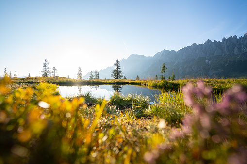 Small Mountain Lake With Reflections in Sunset Blurred Foreground