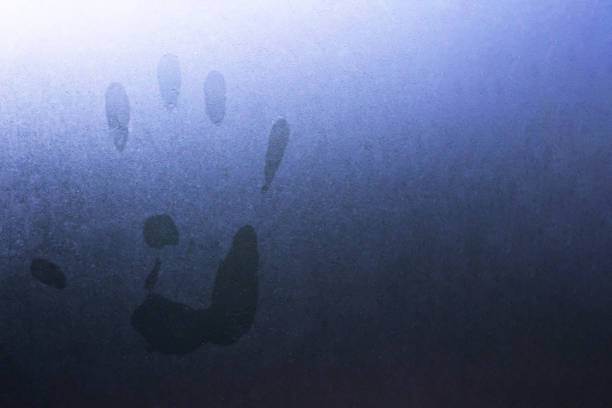 istock Palm print on a wet glass close up 1342605778