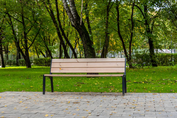 istock Empty bench in the park at autumn. 1342607606