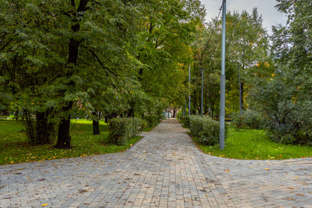 istock Park alley with a pedestrian footpath. 1342607631