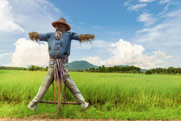 1,100+ Cute Scarecrows Pictures Stock Photos, Pictures & Royalty-Free ...