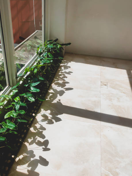 istock A plant in the pot 1342607853