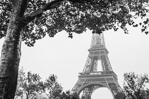 Black and white graphic image of the Eiffel tower