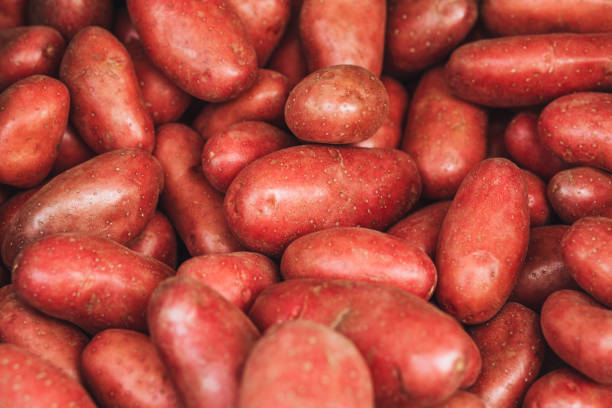 крупным планом свежемытые клубни красного картофеля - red potato raw potato market red стоковые фото и изображения