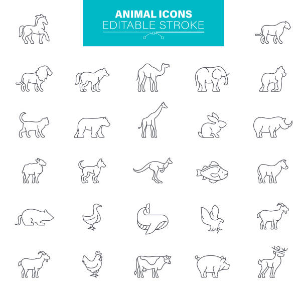 ilustraciones, imágenes clip art, dibujos animados e iconos de stock de iconos de animales trazo editable. contiene tales iconos perro, gato, oso, ratón, oveja, zorro, conejo, jirafa, elefante - wildlife