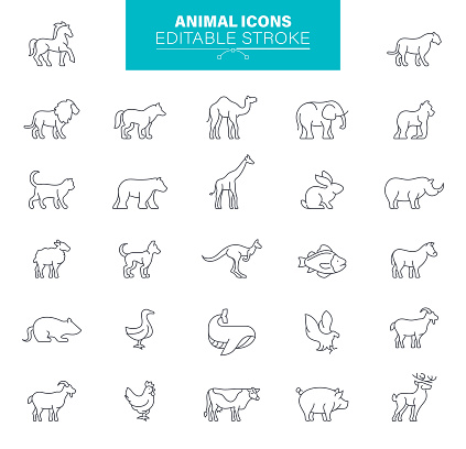 Animals, line icons. illustrations vector, editable stroke, pixel perfect files