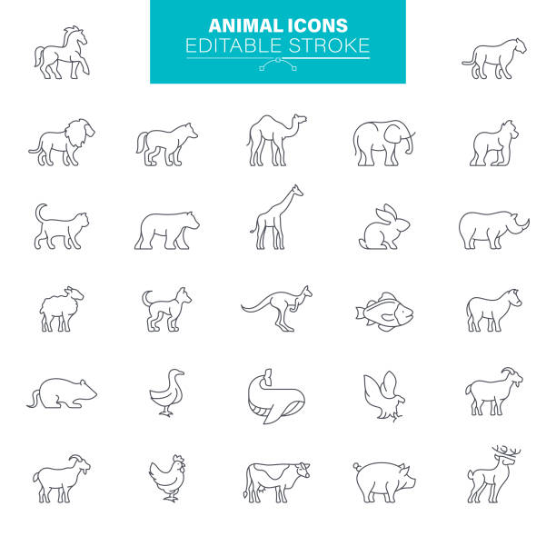 Animal Icons Editable Stroke. Contains such icons Dog, Cat, Bear, Mouse, Sheep, Fox, Rabbit, Giraffe, Elephant Animals, line icons. illustrations vector, editable stroke, pixel perfect files wildlife trade stock illustrations