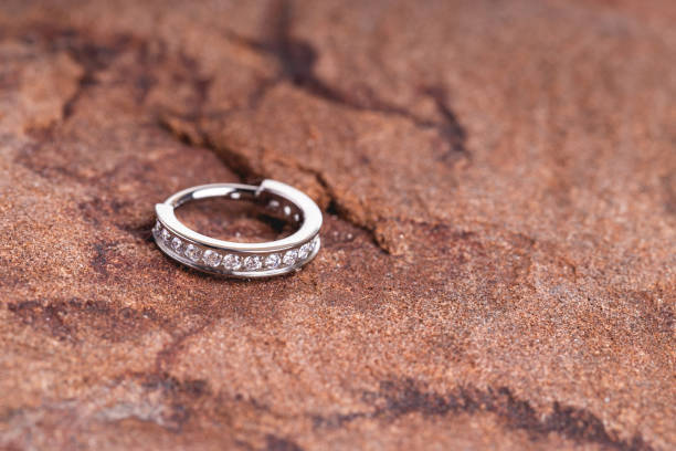 istock Beautiful piercing jewelry. 1342611244