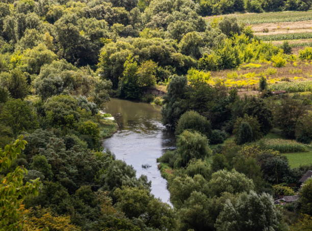 istock River among green trees in summer. Aerial drone view 1342612719