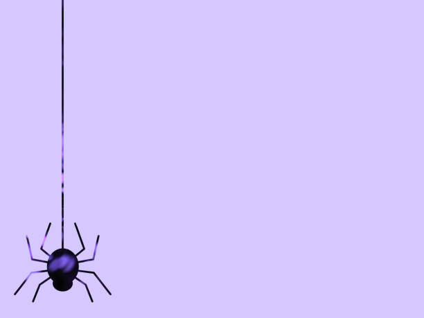 Halloween illustration depicting a spider silhouette hanging with a thread on a purple background