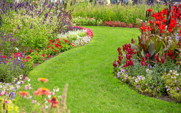 istock Beautiful flower garden in summer. 1342615240