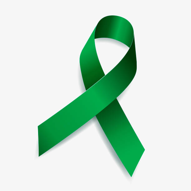 Emerald Green Ribbon Awareness Liver Cancer Liver Disease Mental Health  Isolated On White Background Vector Illustration Stock Illustration -  Download Image Now - iStock