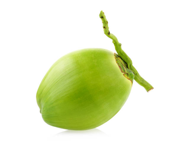 istock Green coconut Fruit isolated on white background 1342616400